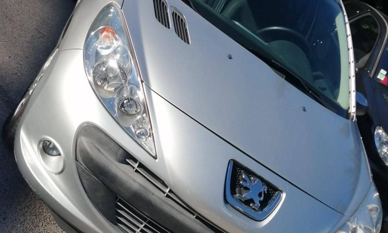 Peugeot 206+